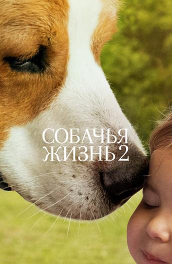 Фильм Собачья жизнь 2 (2019) смотреть онлайн бесплатно